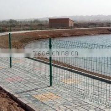 holland wire mesh/holland wire mesh fence/holland electric welded wire mesh/hebei tuosheng