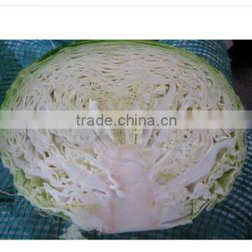 Chinese Fresh Round Cabbage