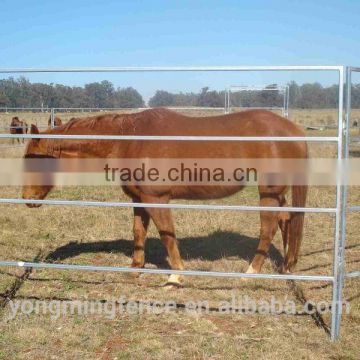 Galvanized horse panel / cattle panel / sheep panel / corral panel