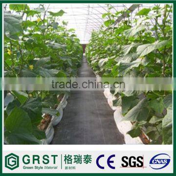 PP Ground Cover for Sale With CE Certification photo-5