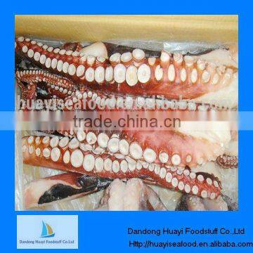 fresh frozen vulgaris octopus