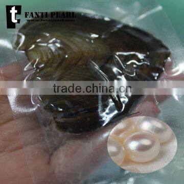 mussel green lipped musselpearl farm pearl freshwater mussel wholesale vacuum package                        
                                                Quality Choice