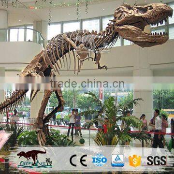High Quality Museum Dinosaur Fossils