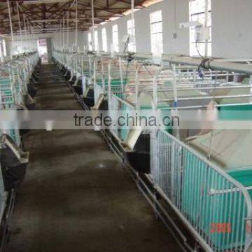 Pig Raising Equipment