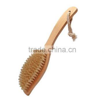 Spa bath brush