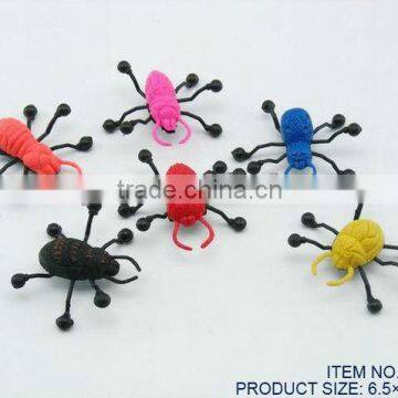 Window Walker Spider