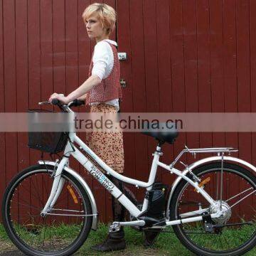 Elektro-Fahrrad Electric Bike, e-Reactive Lithium-Ion electric bicycle, e-Bike, Power eBike