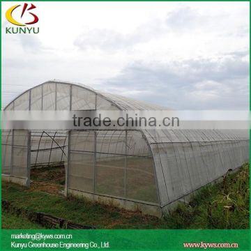 Arch roof type tunnel greenhouse industrial greenhouse octagonal greenhouse