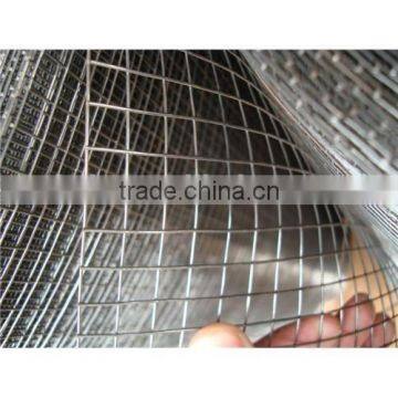 New Product Galvanized Welded Wire Mesh/ Welded Wire Mesh Fence for Sale photo-2