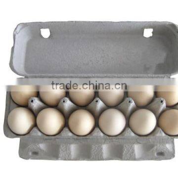Egg Box Carton Machine Egg Box Machine Paper Tray Best photo-3