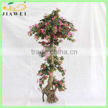 silk Bougainvillea flower tree- leaf-flower tree