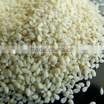 Hulled sesame seeds, white sesame seeds, white hulled sesame seeds , washed whitish sesame seeds