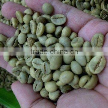 Vietnam Coffee Green Bean Robusta Type Screen No S18 Grade 1 (Whatsaap: 0084965152844)