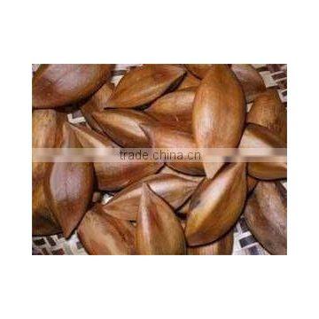 High Quality Pili Nuts