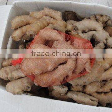 Fresh Big Ginger packing PVC Carton