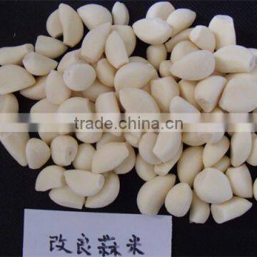 IQF Peeled Garlic for Sale / Frozen Garlic for Export photo-4