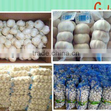 High quality garlic from China