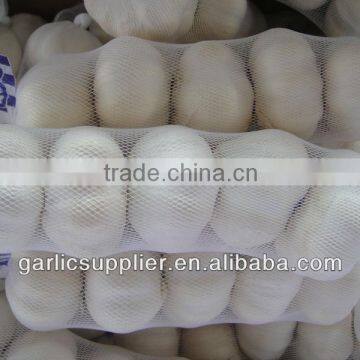 2013 pure white garlic