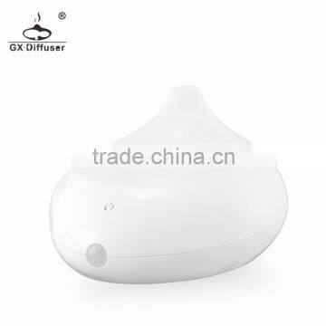 GX Diffuser Newest Painting Color Usb Aroma Diffuser With Adapter GX-B06 photo-6
