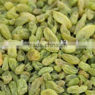 best quality all kinds of dried raisins-green raisin