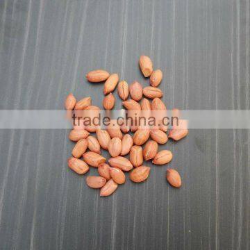 BEST QUALITY RED BOLD GROUNDNUT KERNEL