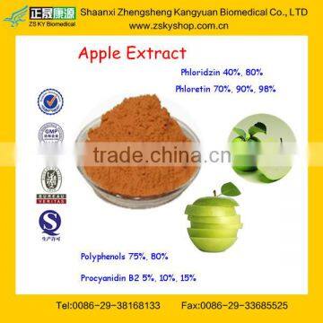 Natural Green Apple Extract From Assessment Supplier