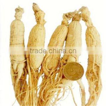 2015 Chinese Radix Ginseng
