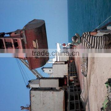 Cambodian River Sand photo-3