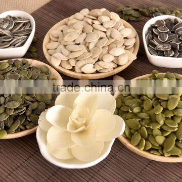 Price of 2015 Pumpkin Seeds 9-11mm photo-5