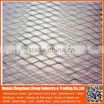Offer 100% New Hdpe Netting Fabric , Anti Bird Nets for Catching Birds photo-5
