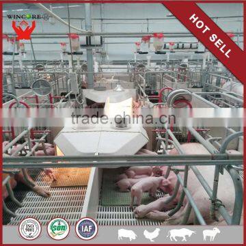 Pig Equipment Pig Farrowing Crates Sow Farrowing Pen