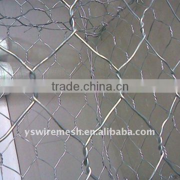 Chicken Wire Netting/Hexagonal Wire Netting/Poultry Hexagonal Mesh