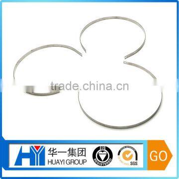 Stainless Steel Strip Spring