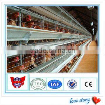 Chicken layer cage using automatic layer poultry equipment