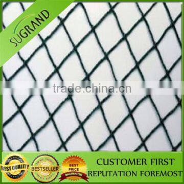 Hot Sale New Material Plastic Anti Bird Nets for Fruit Farm photo-3