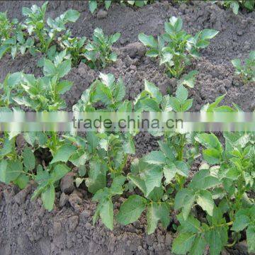Hot Sale Manual One Row Potato Planter photo-4