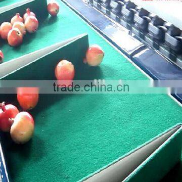 Pomegranate Grading Machine Sorter Grader