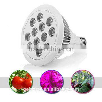 2017 Salable 12W Led Light For Indoor Plant From Shenzhen Factory