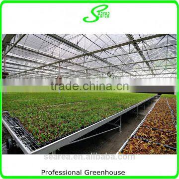 Multi- Span Potato Film Greenhouse for Sale photo-2