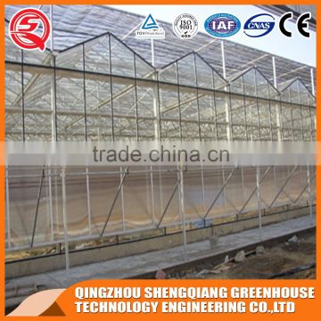 Venlo hollow tempered glass greenhouse shading systems agriculture