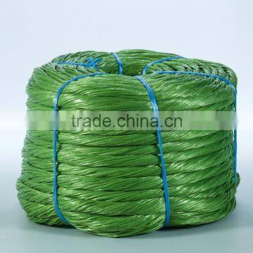 Tomato Twine for Florida Weave Cultivation photo-5