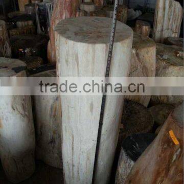 Petrified Wood,fossilized Wood,Luxary Nature Decorative Stone, photo-3