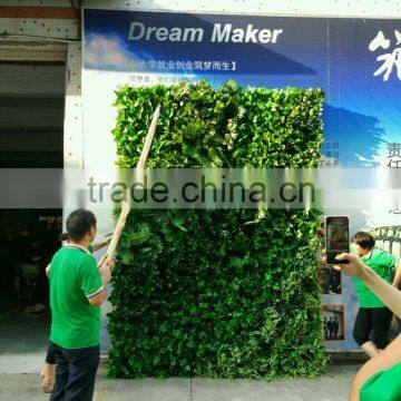 SJ1801298 Resturant Decoration Green Plant Walls photo-6