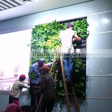 Factory Price Plastic Plant Vertical Green Wall Garden Walls