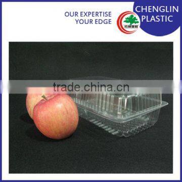 Blister Clear Disposable Fruit and Vegetable Tray