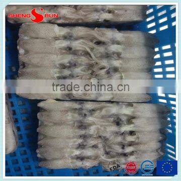 BQF Frozen Baby Loligo Squid photo-5