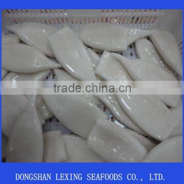 frozen illex agentina squid tube