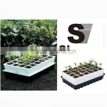 Seeds Plant Box