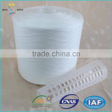 Ne 20/2 20/3 count raw white spun polyester yarn