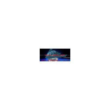Flight Simulator- 3D 4D 5D Motion Training Driving Flight amusement game machine simulator